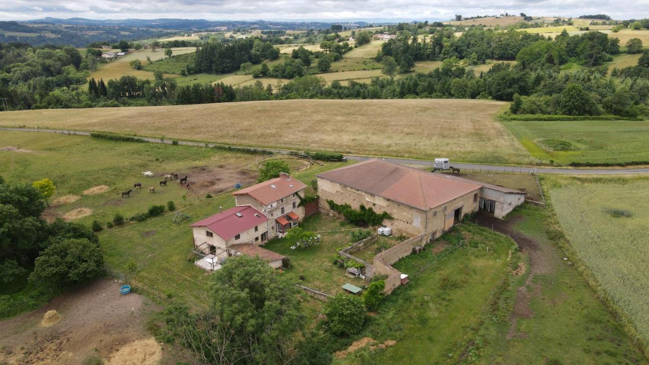 Domaine Du Coq En Pat Bed & Breakfast Augerolles Exterior foto